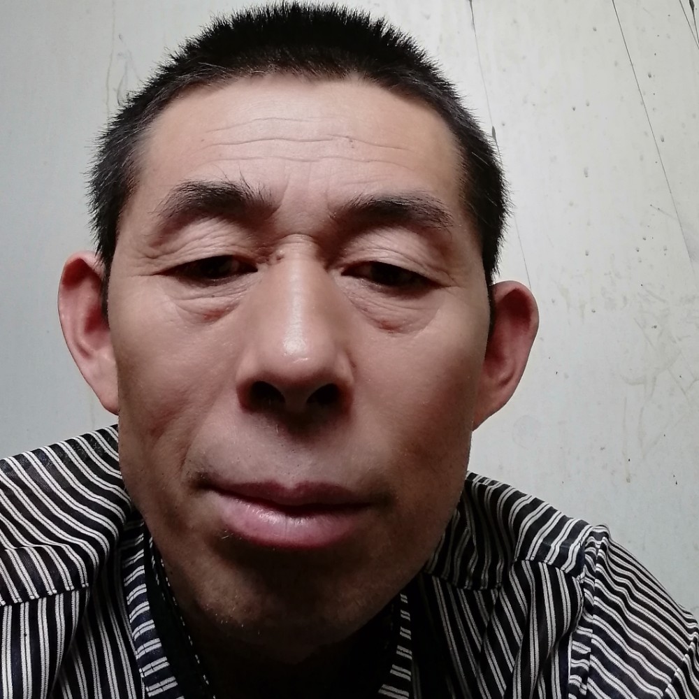 感动用百合的照片