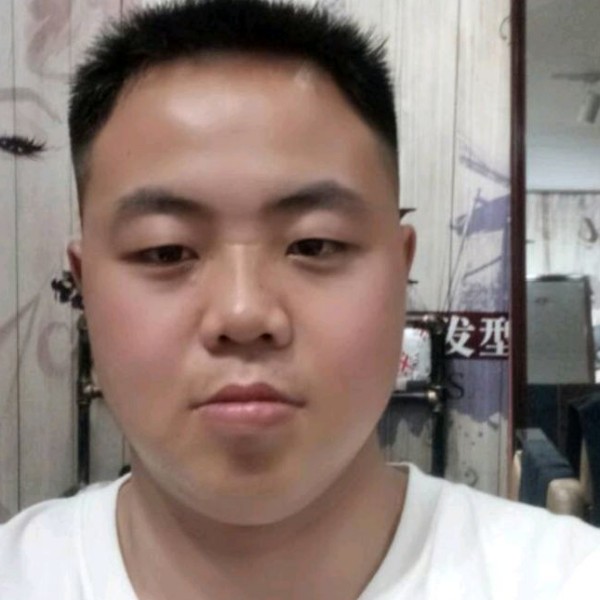 老鼠1辈子旳的照片
