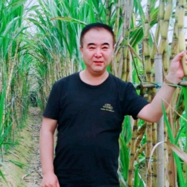 端庄爱恋钥匙的照片