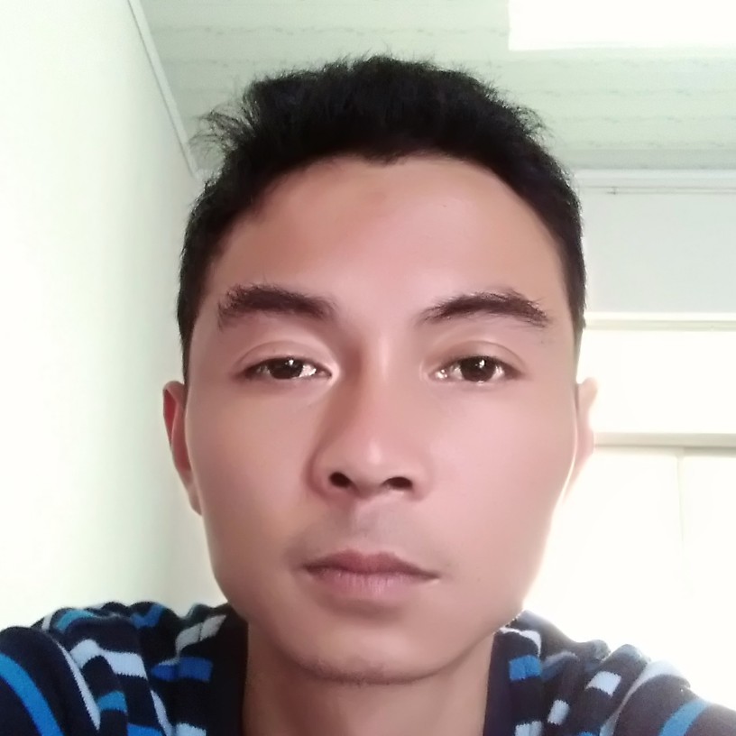 温暖小海豚的照片