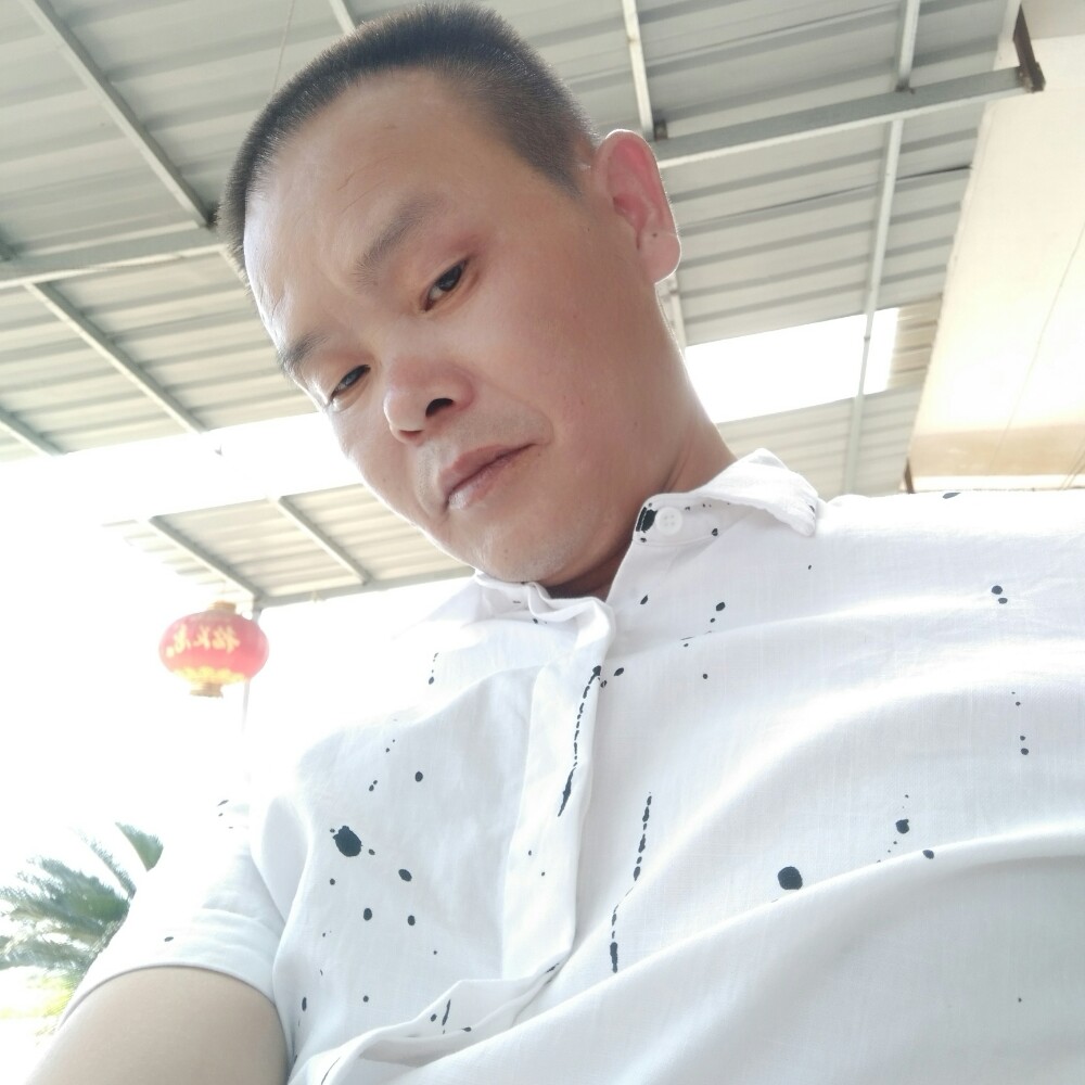 成就夏天的照片