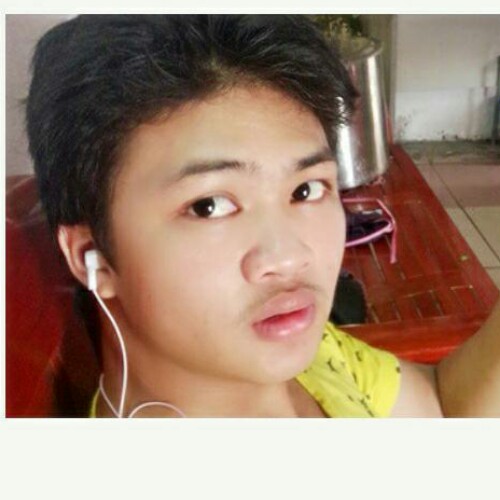 小小一只蚂蚁的照片