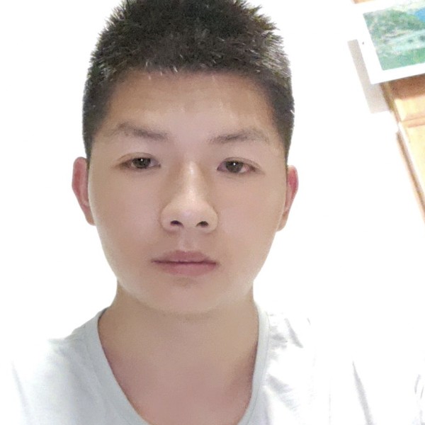 小蜜蜂给零碎的照片