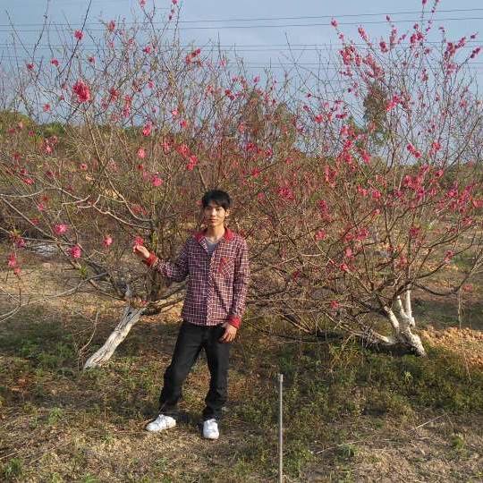 人生回首清脆@的照片
