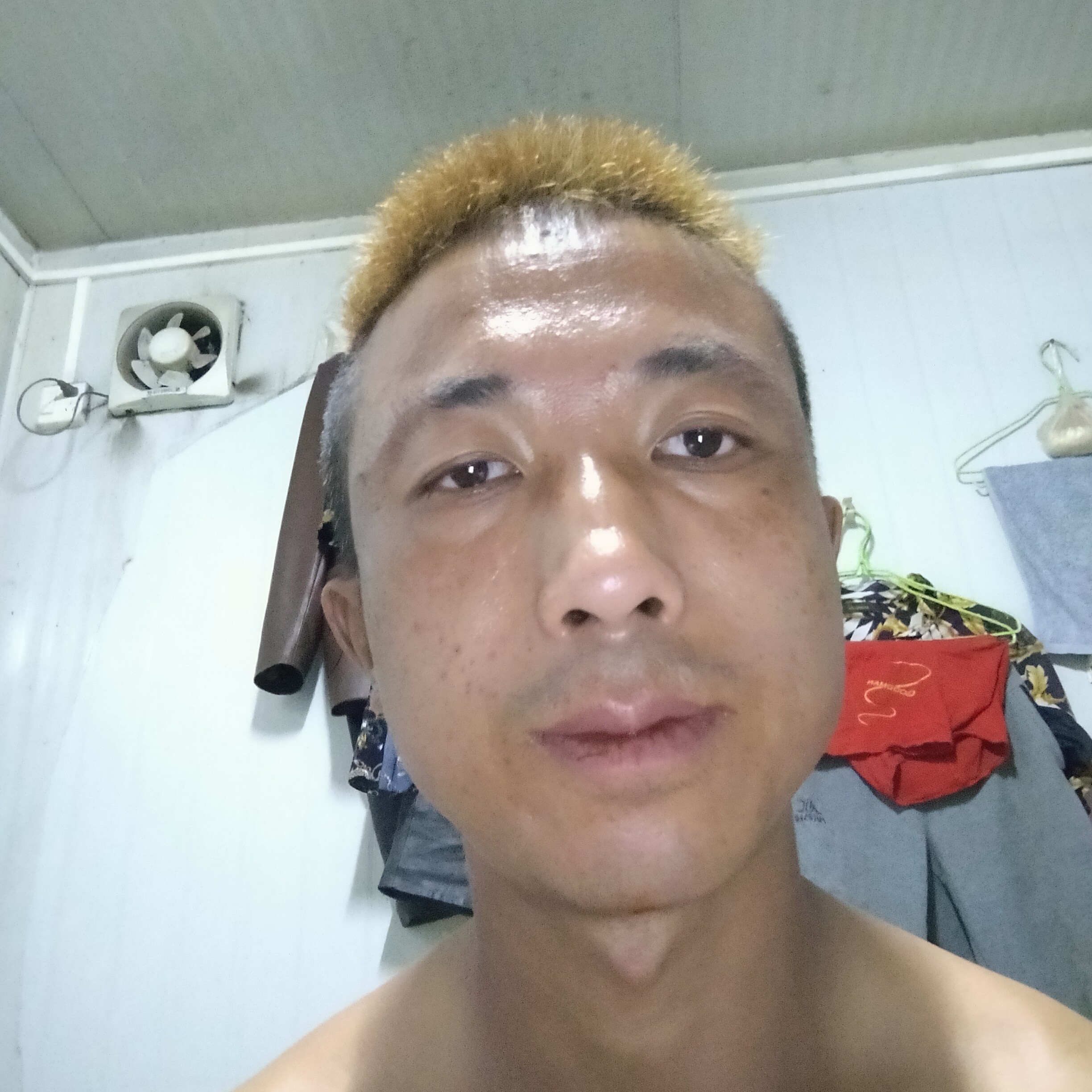 蓝天爱恋高贵的照片