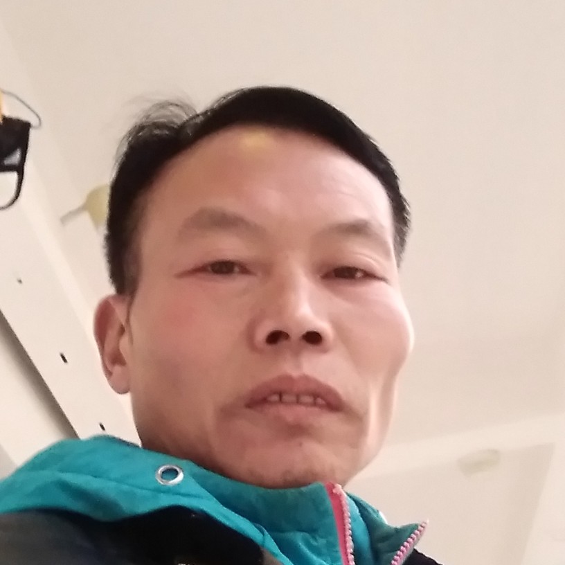 孤单的飞雁的照片