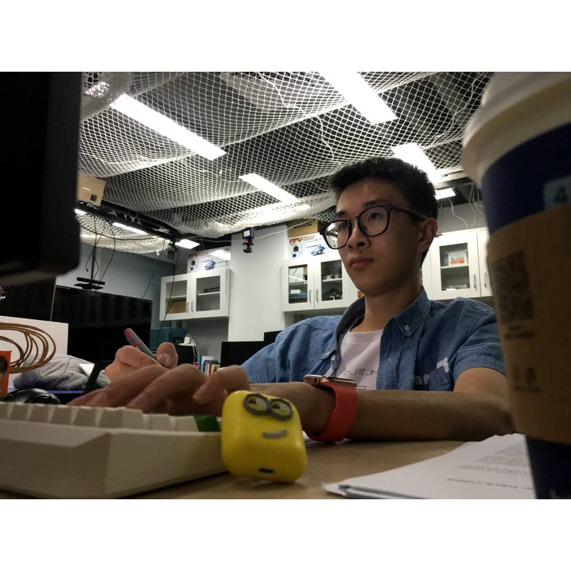 皮蛋树叉儿的照片
