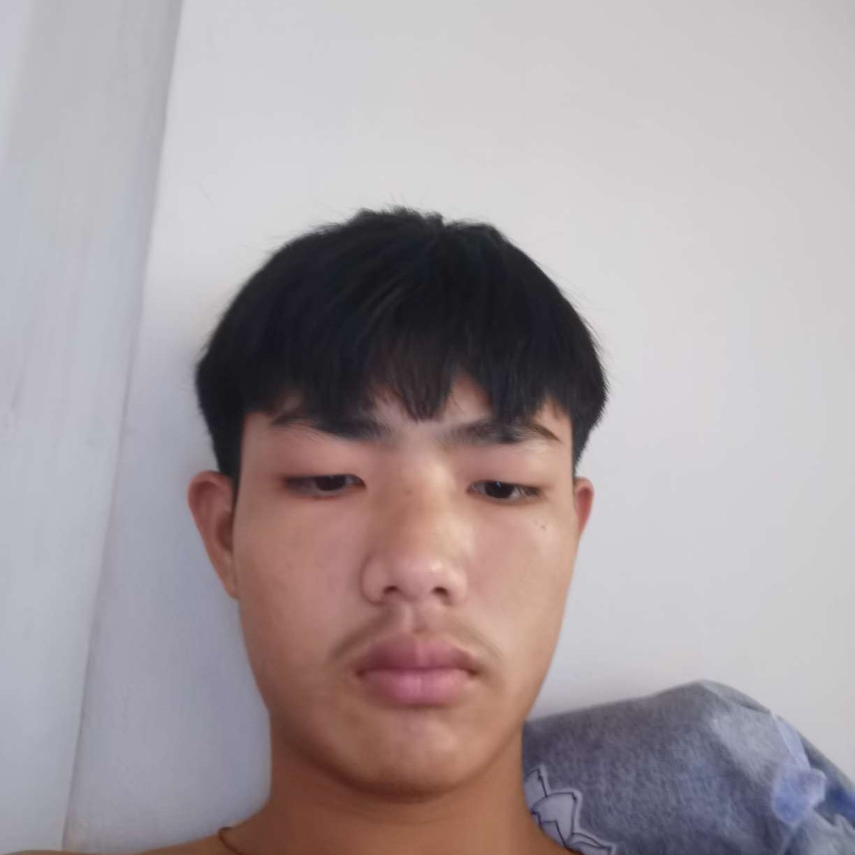 现实和机器猫的照片
