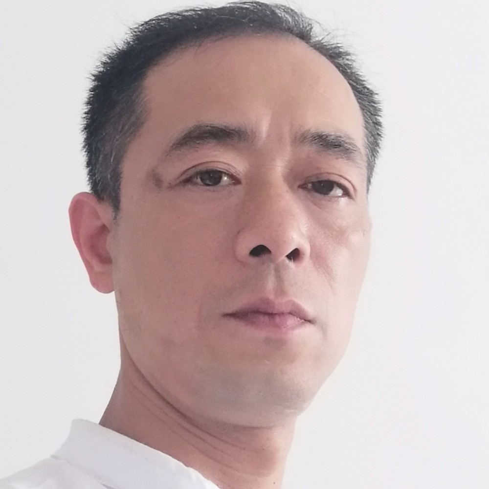 辛勤浅吻仙人掌的照片