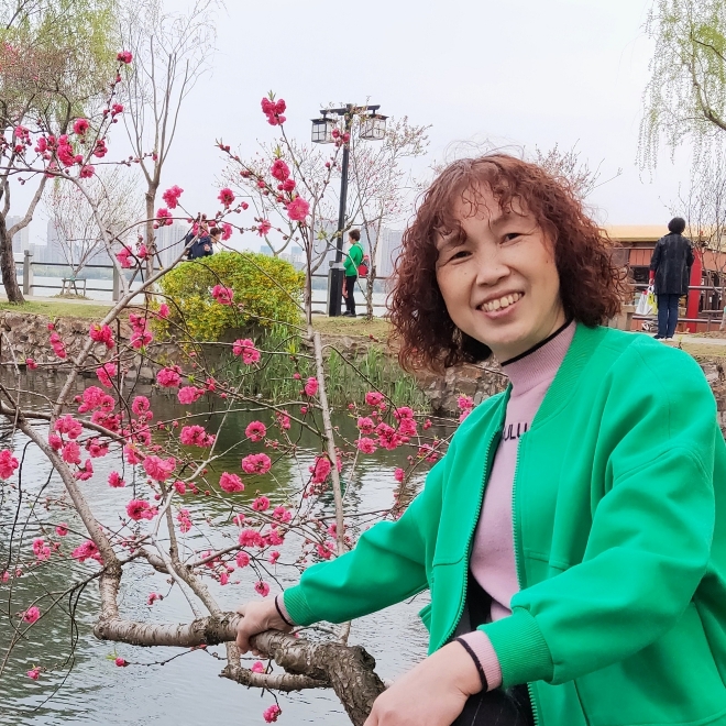 美丽的晴天的照片