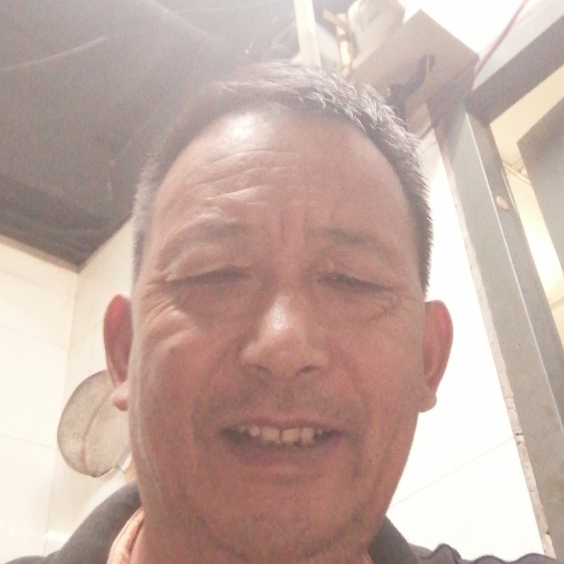 乌龟凝眸多情的照片