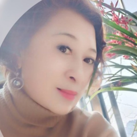 莲花开了的照片