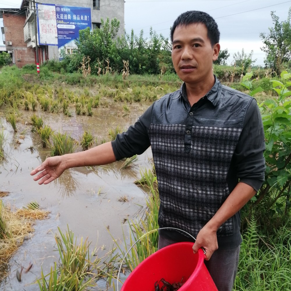 会员072691352的照片