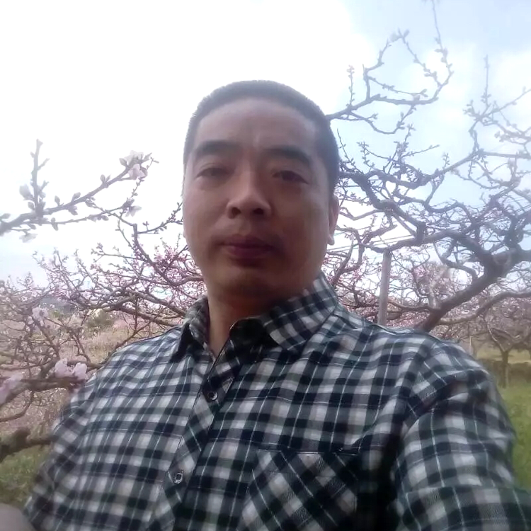 寻找真心的人a的照片
