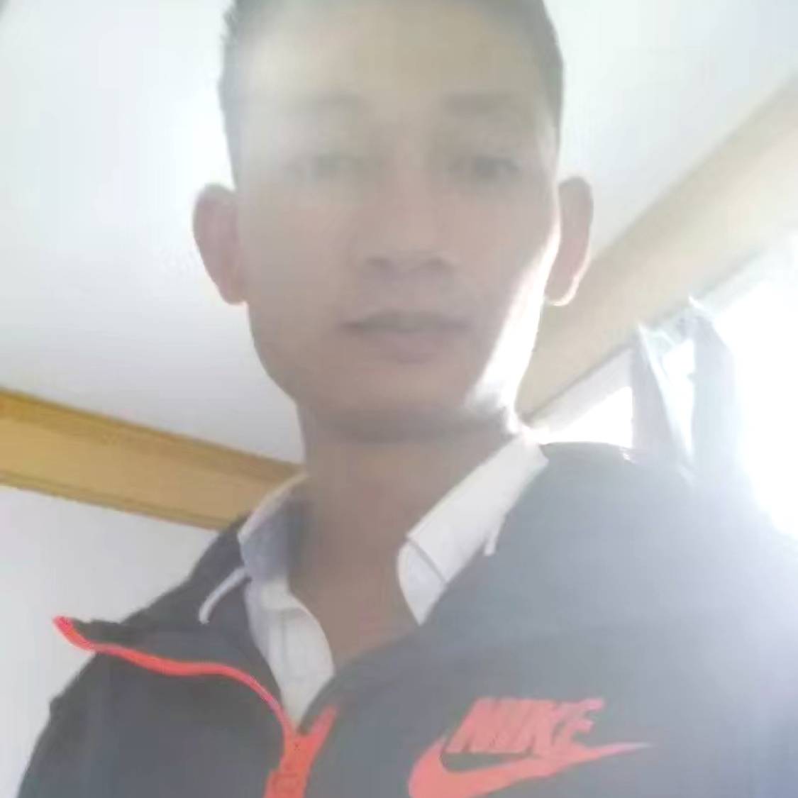 洋洋喜气的照片