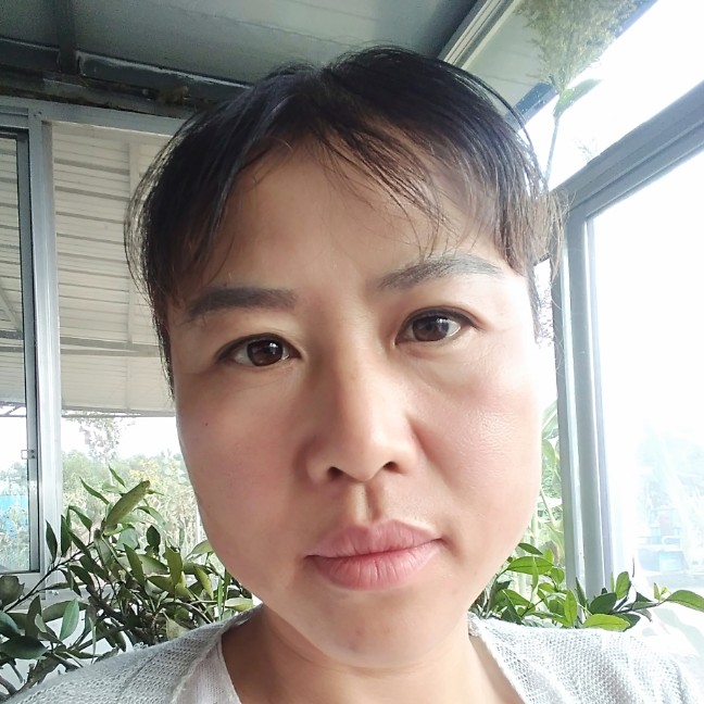 活泼向日葵的照片
