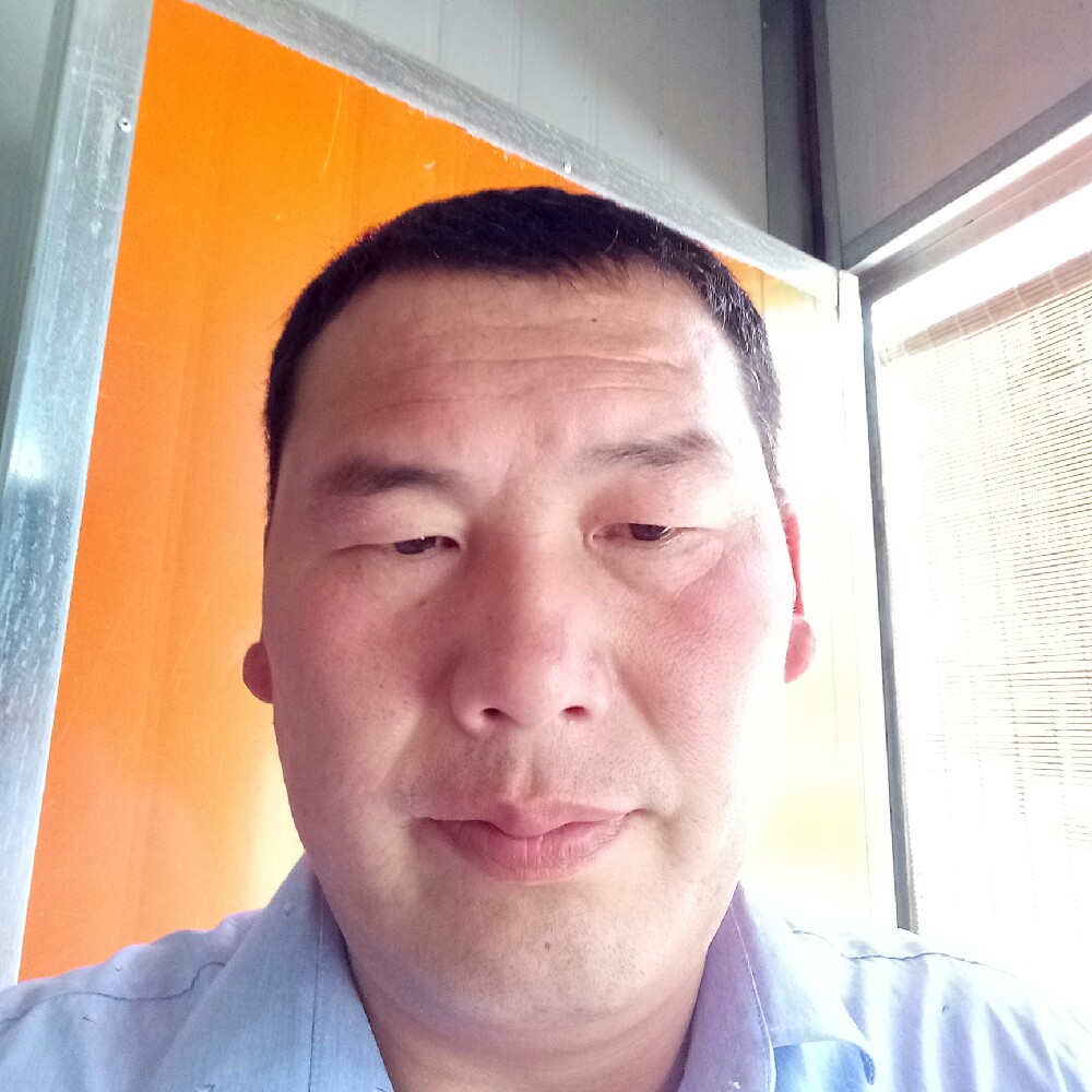 沉默拾忆紫菜的照片