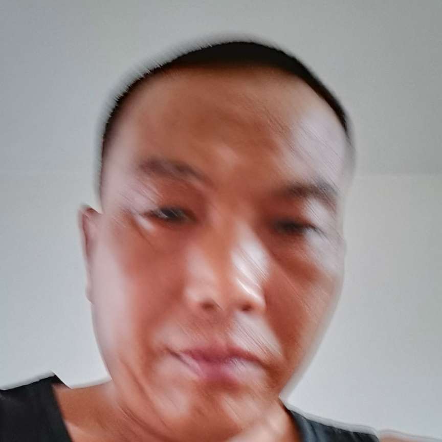 朴素方猎豹的照片