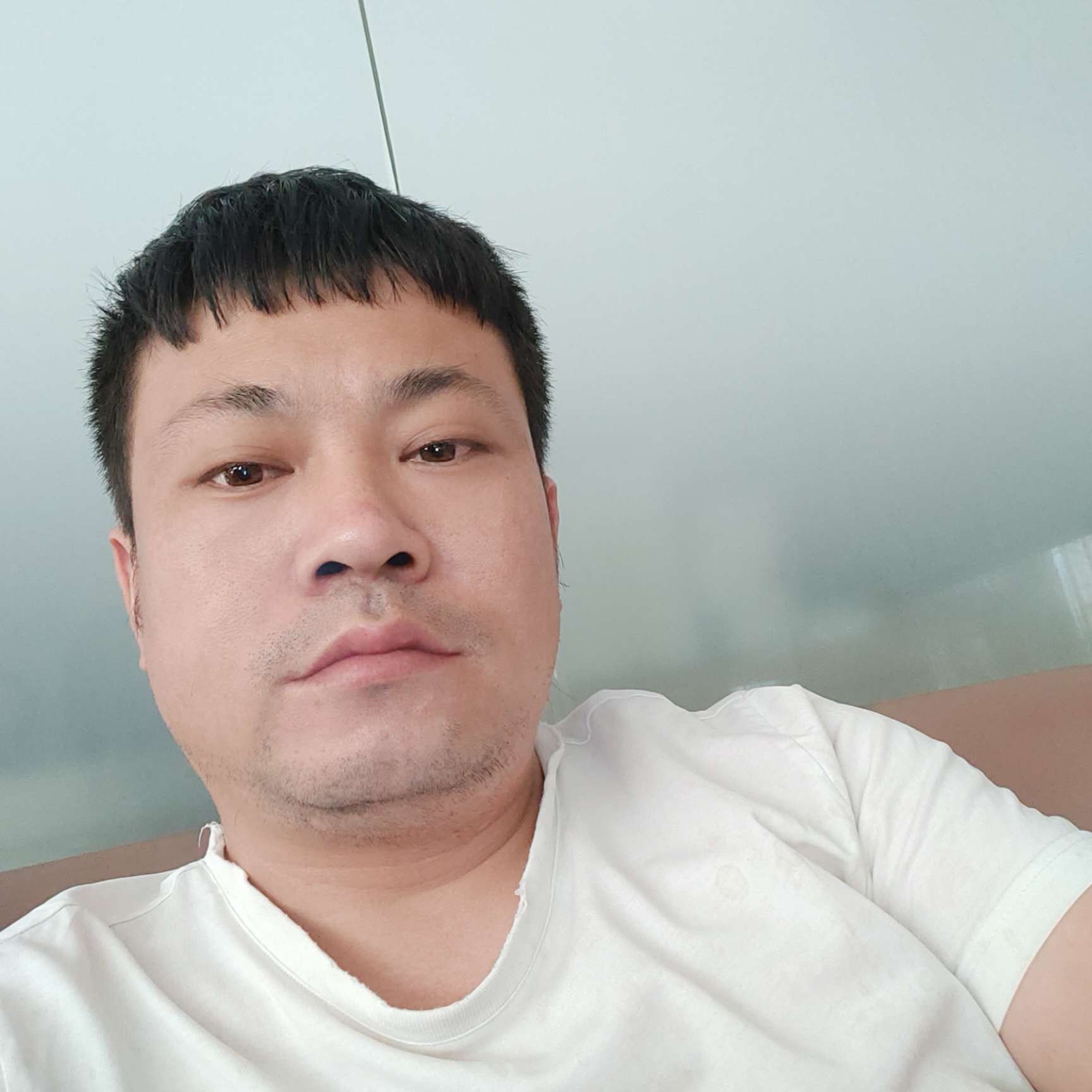 务实演变惊鸿的照片