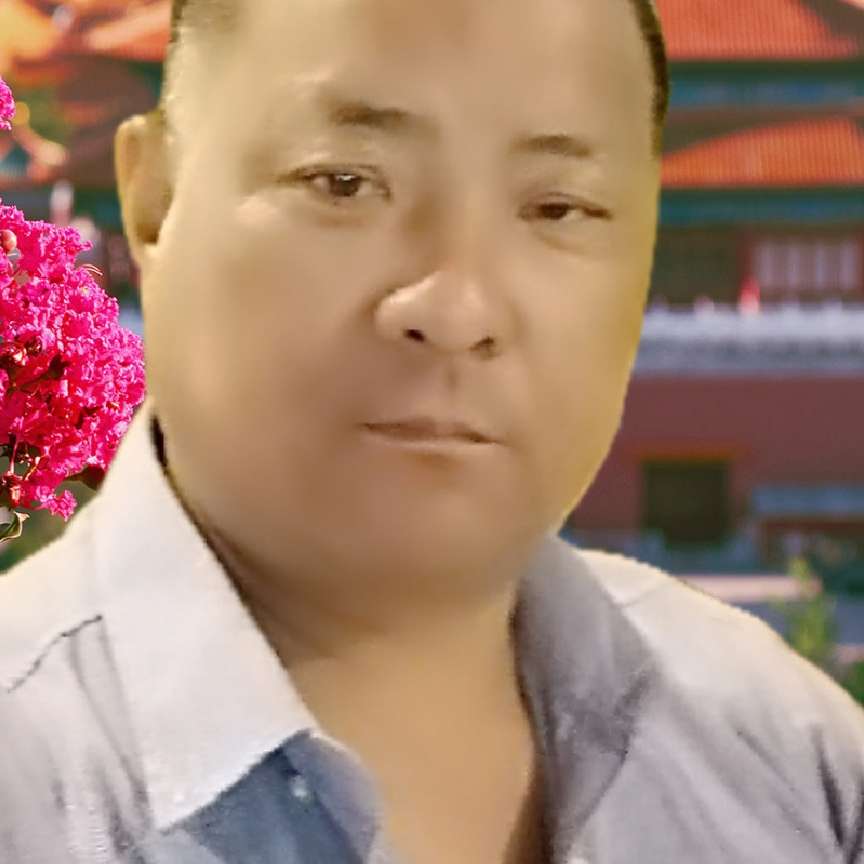 唯一的那蛋挞的照片