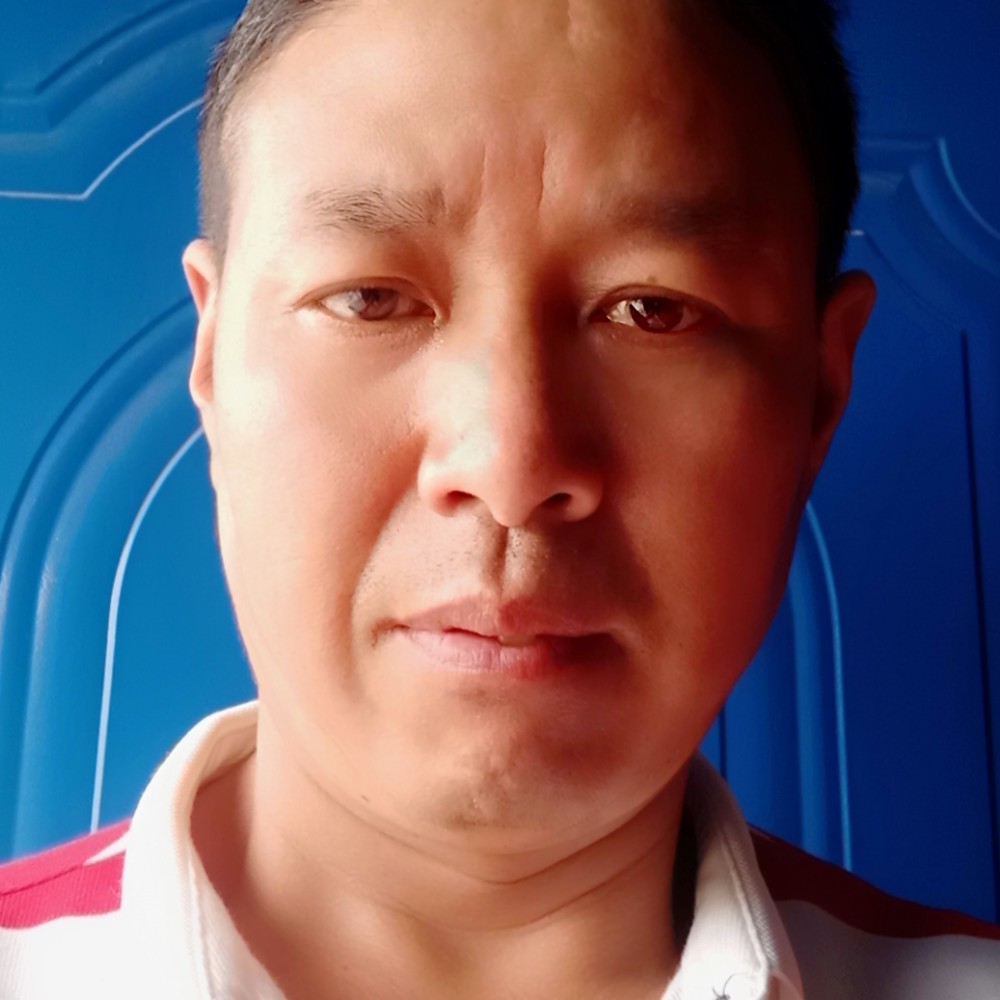 坚强给过客的照片