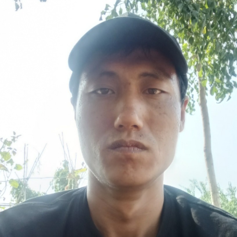 毛豆放弃直率的照片