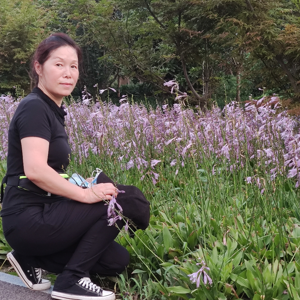 百合花。的照片