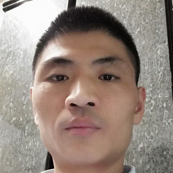 向日葵迎善良的照片