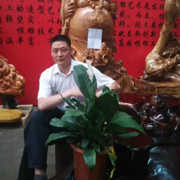 彩色蹁跹绝影的照片