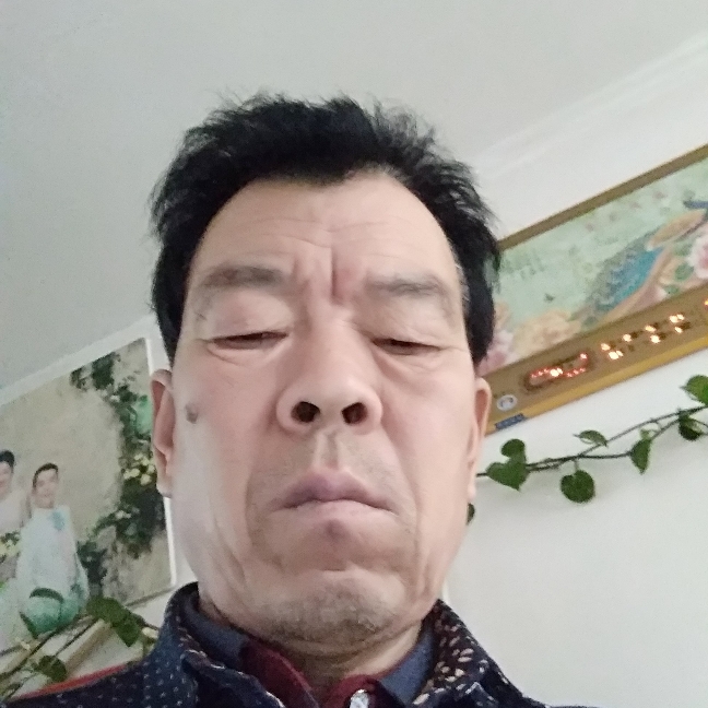 无垠犀牛的照片