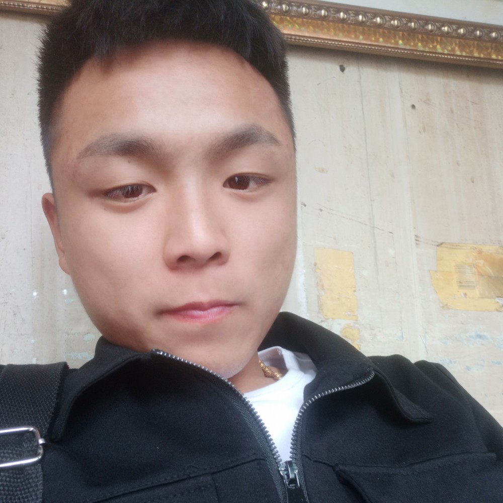 火星上等待小海豚的照片