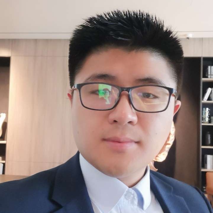 简单等于大雁的照片