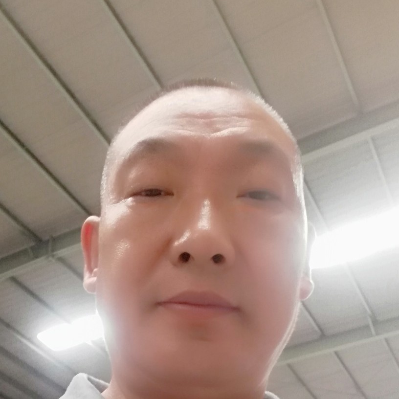 蜻蜓等待长情的照片