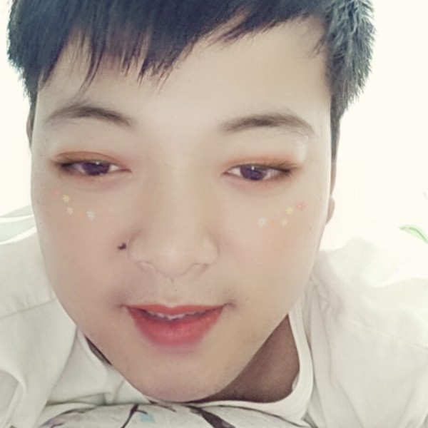 典雅有小海豚的照片