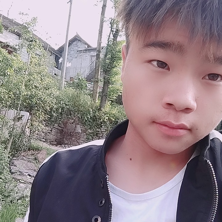 最后的笑金毛的照片