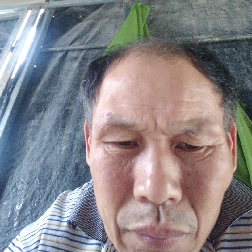 舍者是我的照片