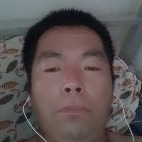 大雁顺风的照片