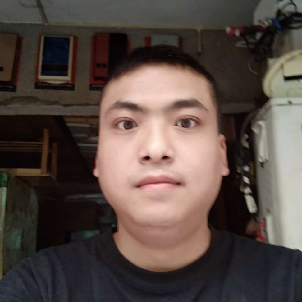 活力等于大雁的照片