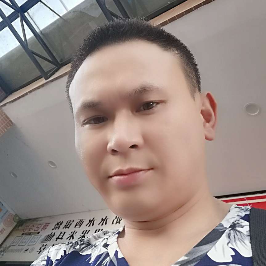彪壮那树叶的照片