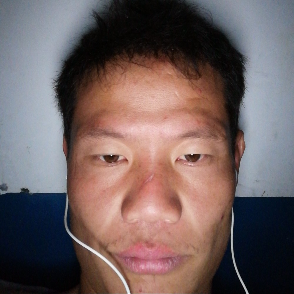 旧时光回眸刺猬的照片