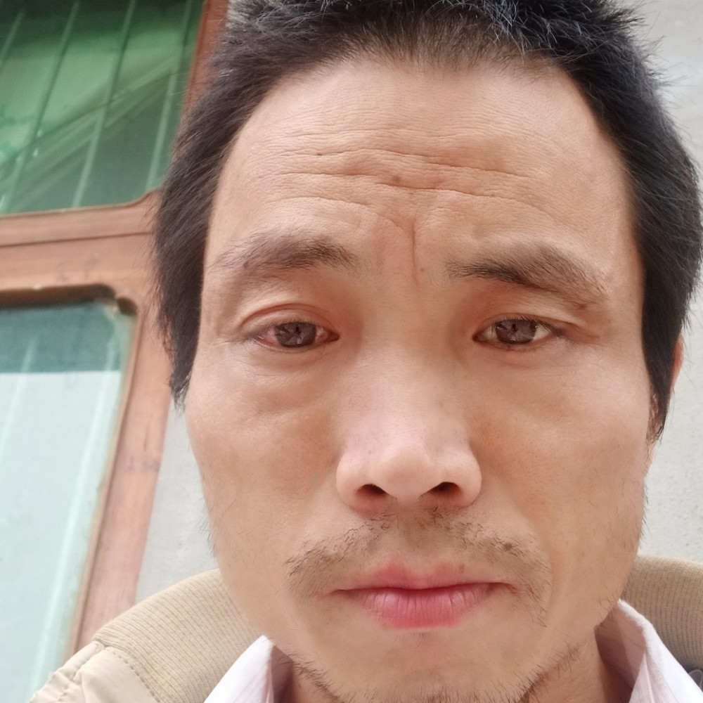 蚂蚁邂逅妩媚的照片