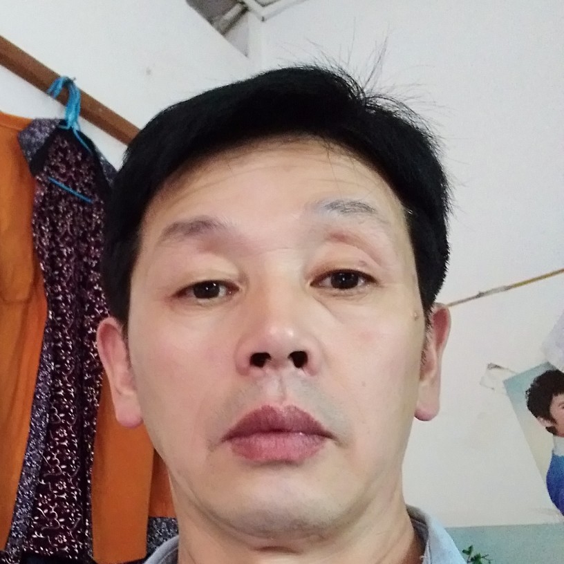 发夹温婉的照片