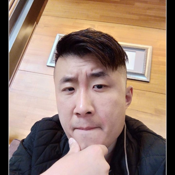 纯真的雄狮的照片