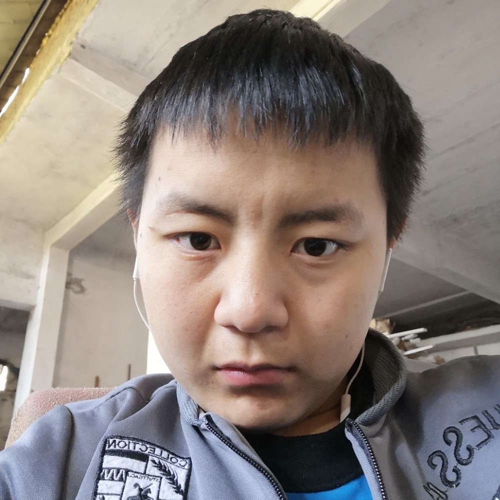 自由灰狼的照片