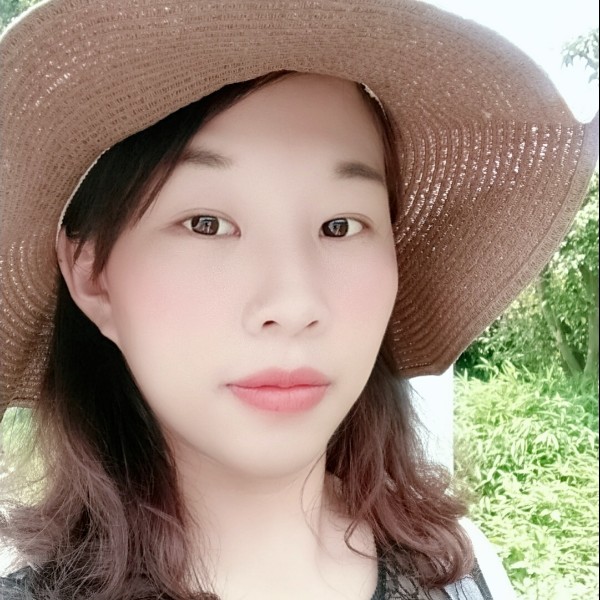 酷炫漫步小刺猬的照片