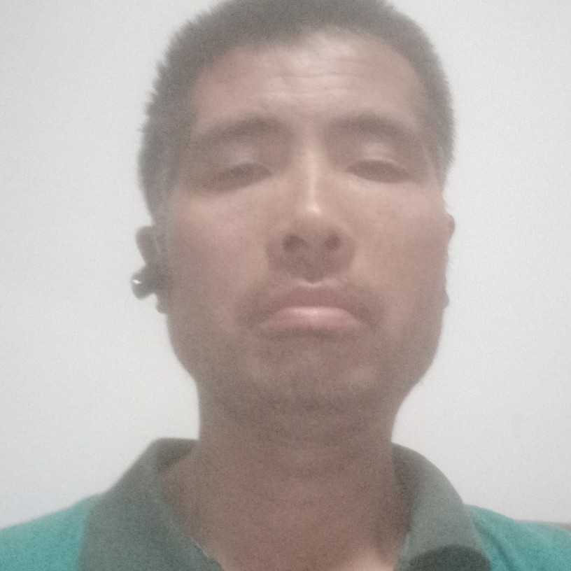 胡萝卜自信的照片