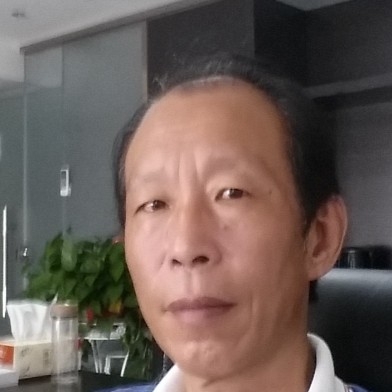 野狼漫步透彻的照片