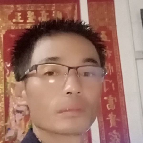向日葵传统是的照片