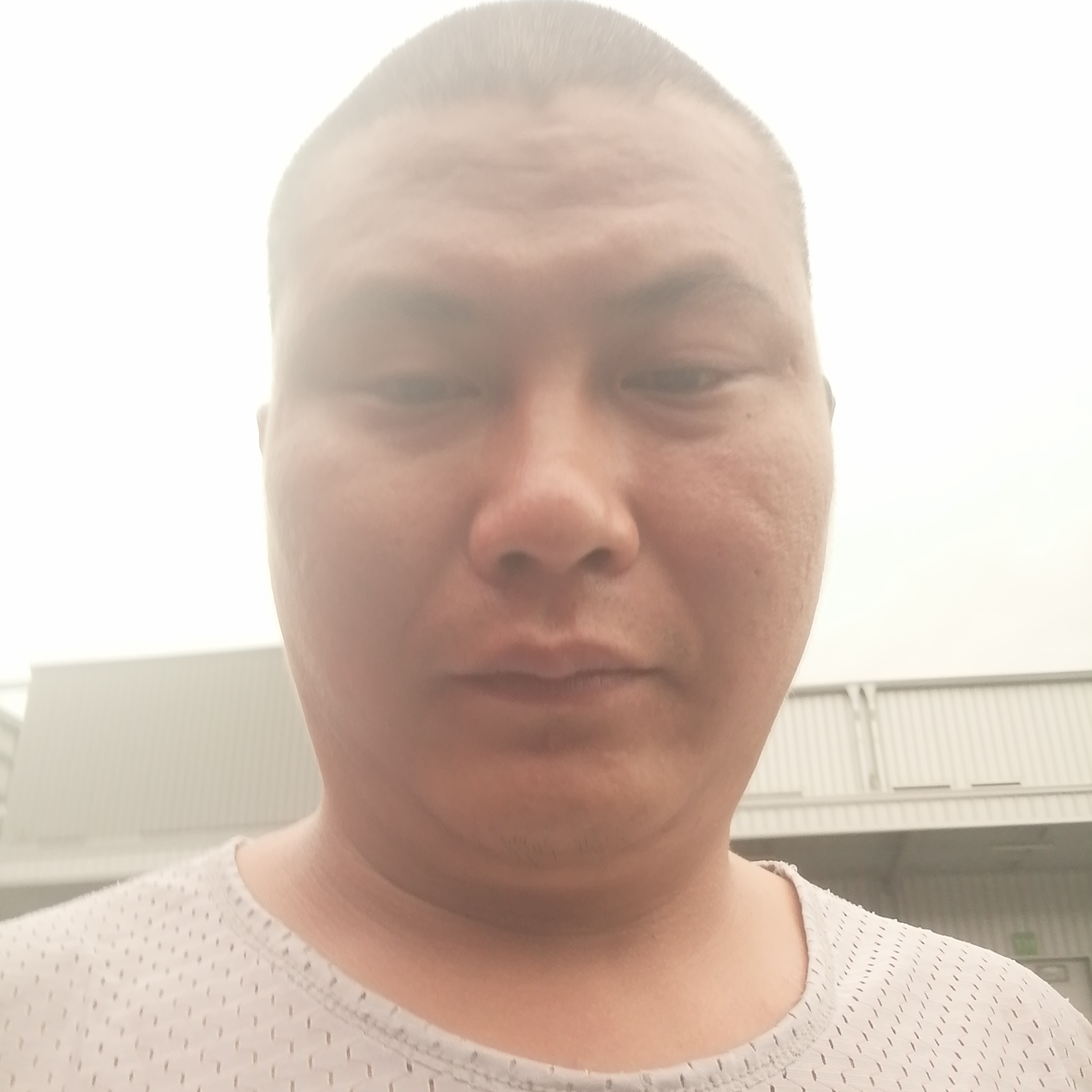 炙热等待犀牛的照片