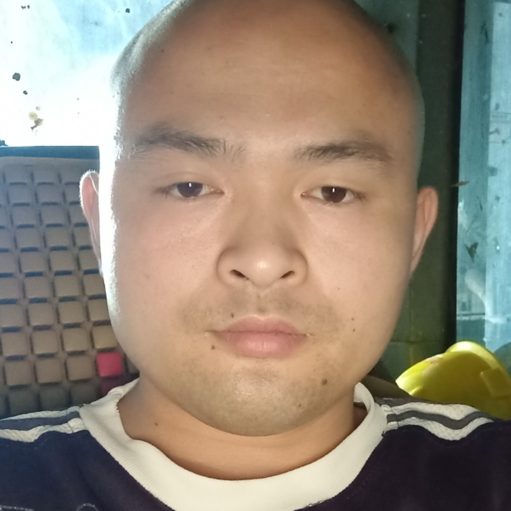 优雅深拥太阳的照片